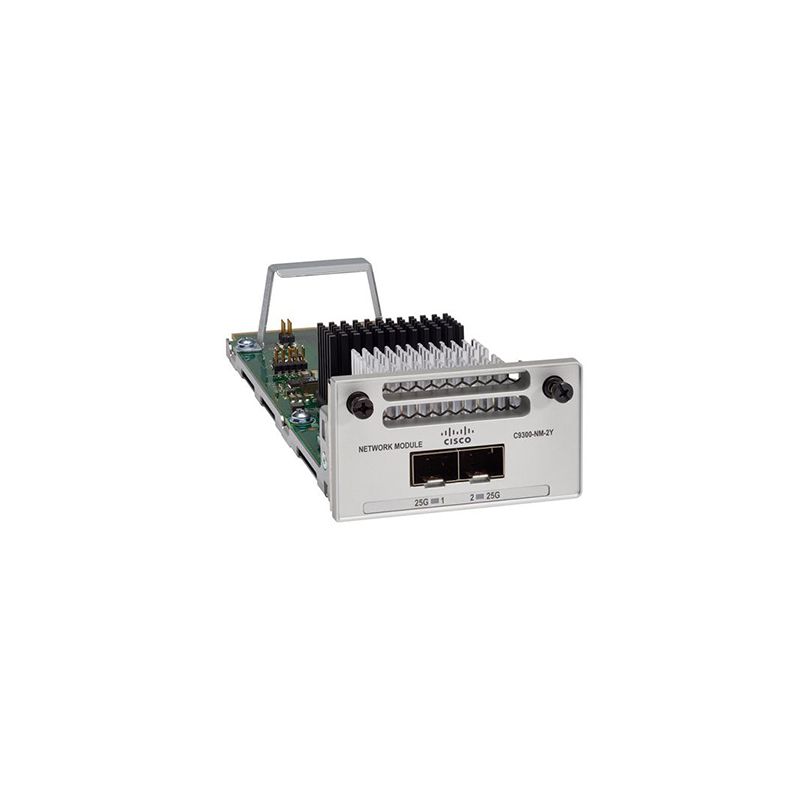 Moduli di rete Cisco C9300-NM-2Y